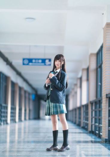 啄木鸟在线