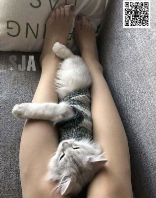 爸爸的女友儿子的女友