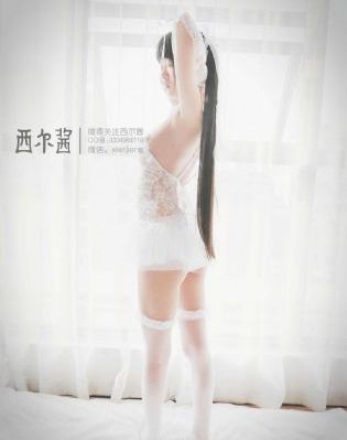 免费论理片