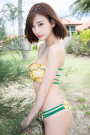 千纸鹤开发日记