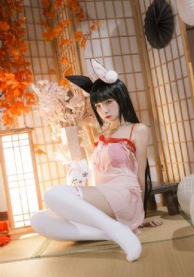 美女视频在线观看免费