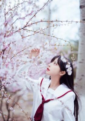 电影免费观看