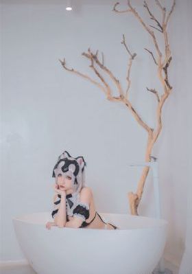 大明风华电视剧多少集